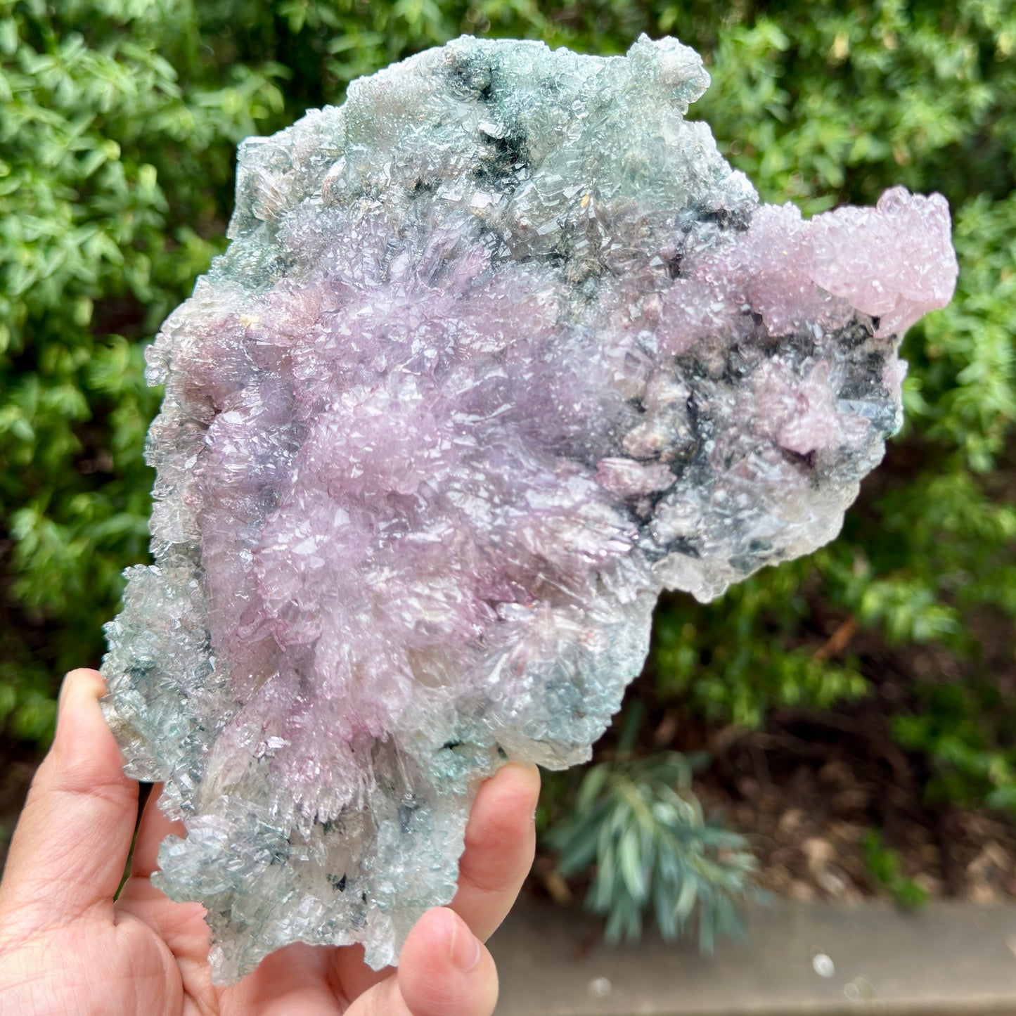 Flower Amethyst Celadonite RARE Cluster High Quality Crystal with Stand 584g
