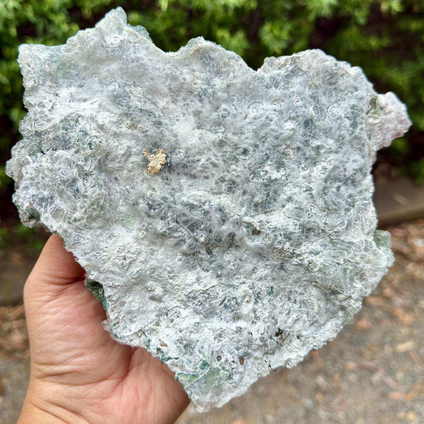 Flower Amethyst Celadonite RARE Cluster High Quality Crystal with Stand 584g