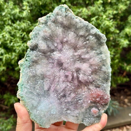 Flower Amethyst Celadonite RARE Cluster High Quality Crystal with Stand 734g