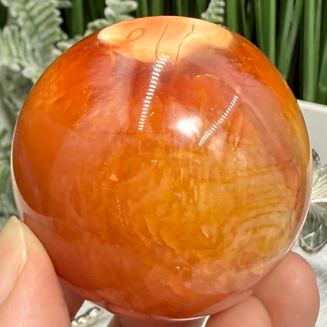 Carnelian in Orca Agate Quartz Sphere Healing Crystal Ball 190g 52mm