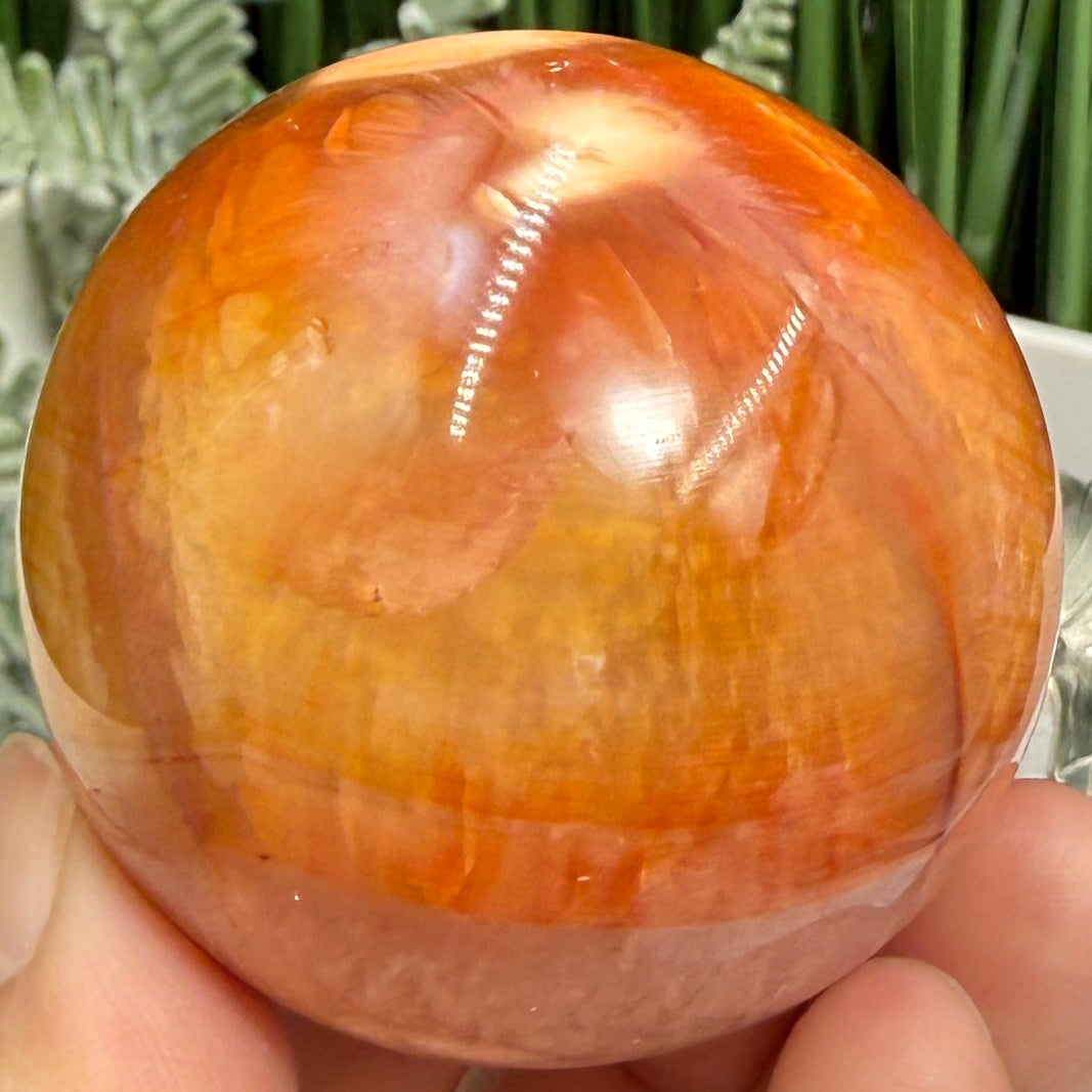 Carnelian in Orca Agate Quartz Sphere Healing Crystal Ball 190g 52mm