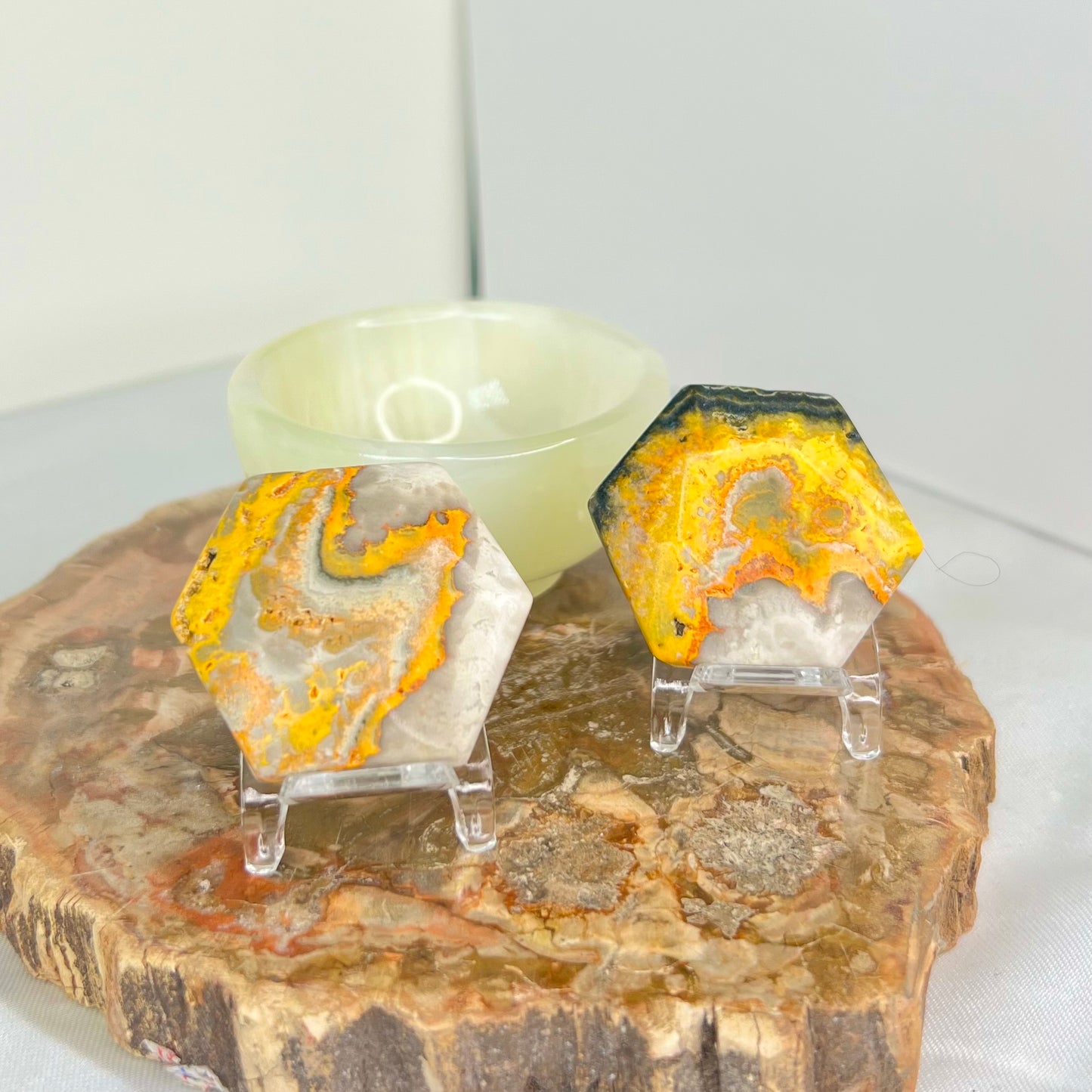 Bumblebee Jasper Star of David Cabochons Crystal Carving YOU CHOOSE