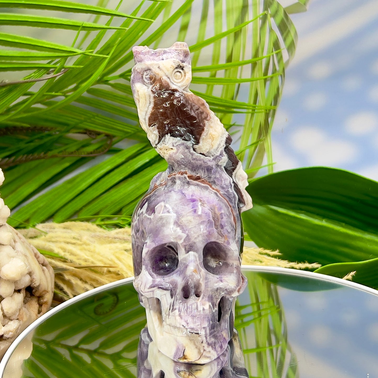 Chevron Dream Amethyst Owl on Skull Hollow Jaw  Crystal Carving 700g