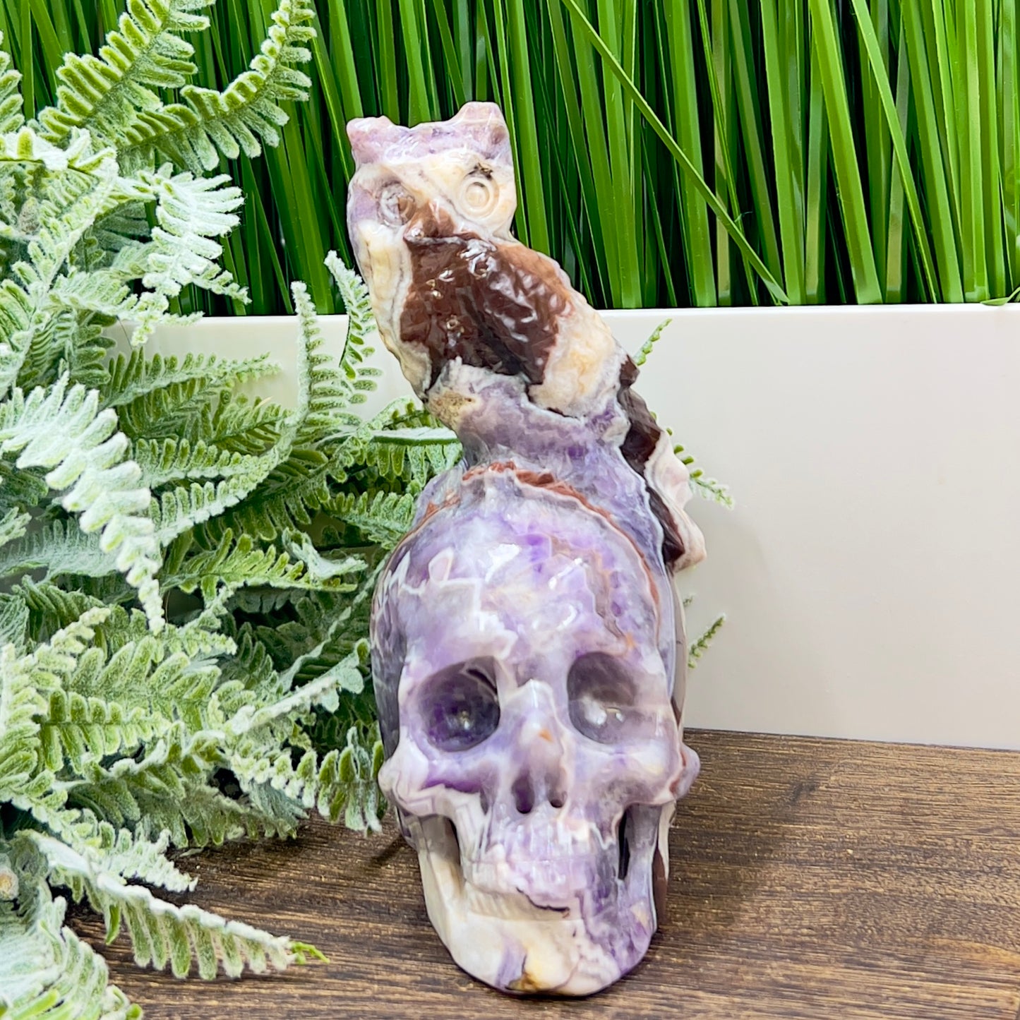 Chevron Dream Amethyst Owl on Skull Hollow Jaw  Crystal Carving 700g