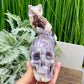 Chevron Dream Amethyst Owl on Skull Hollow Jaw  Crystal Carving 700g