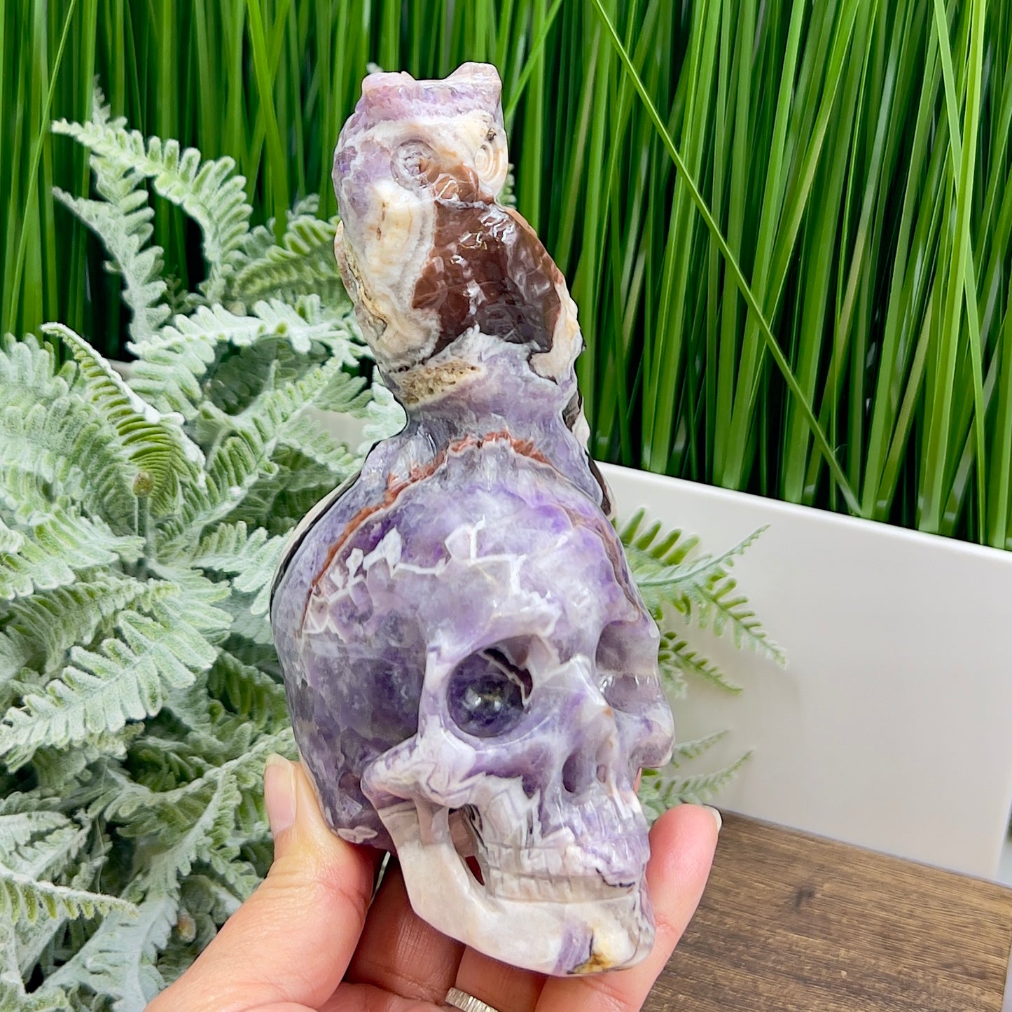 Chevron Dream Amethyst Owl on Skull Hollow Jaw  Crystal Carving 700g