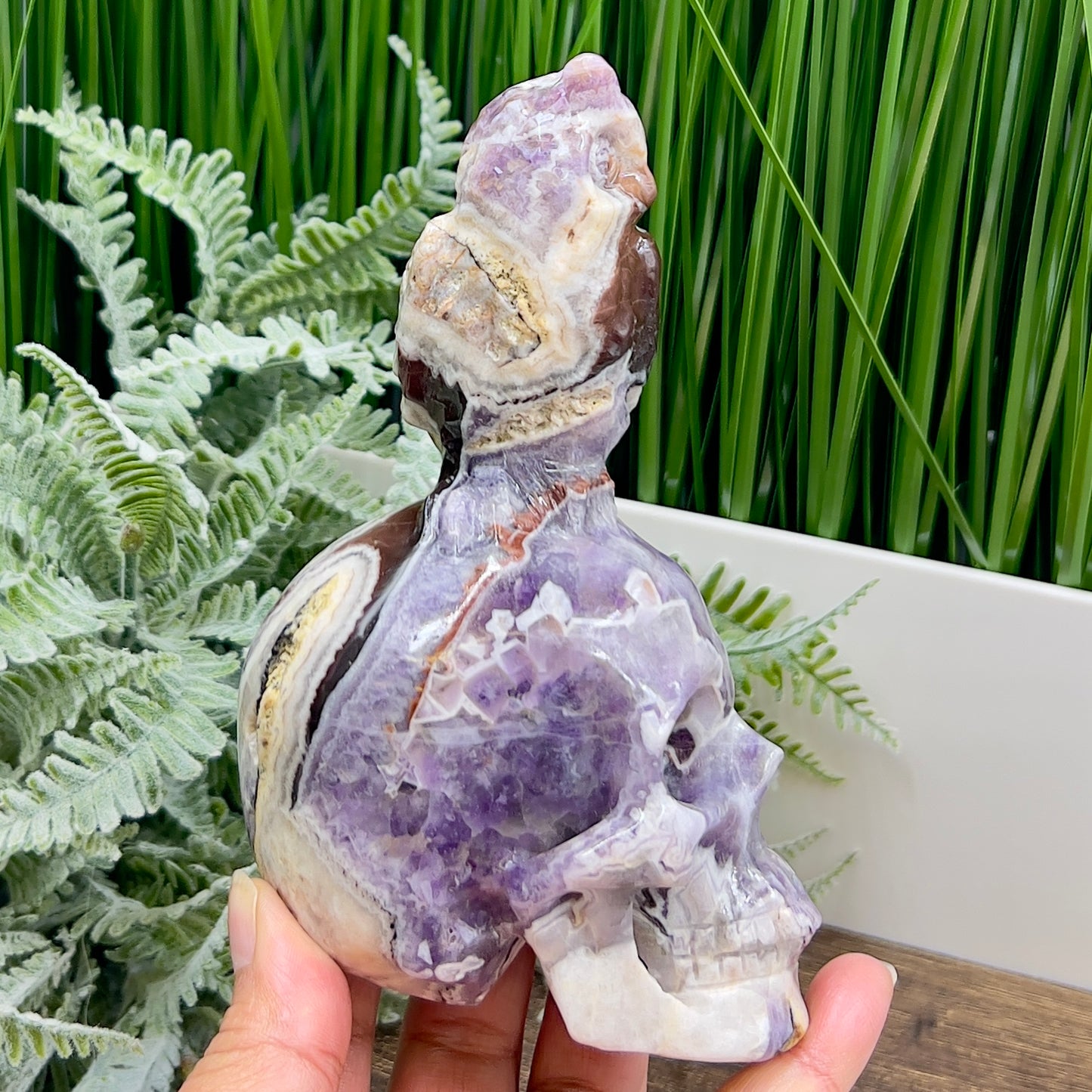 Chevron Dream Amethyst Owl on Skull Hollow Jaw  Crystal Carving 700g