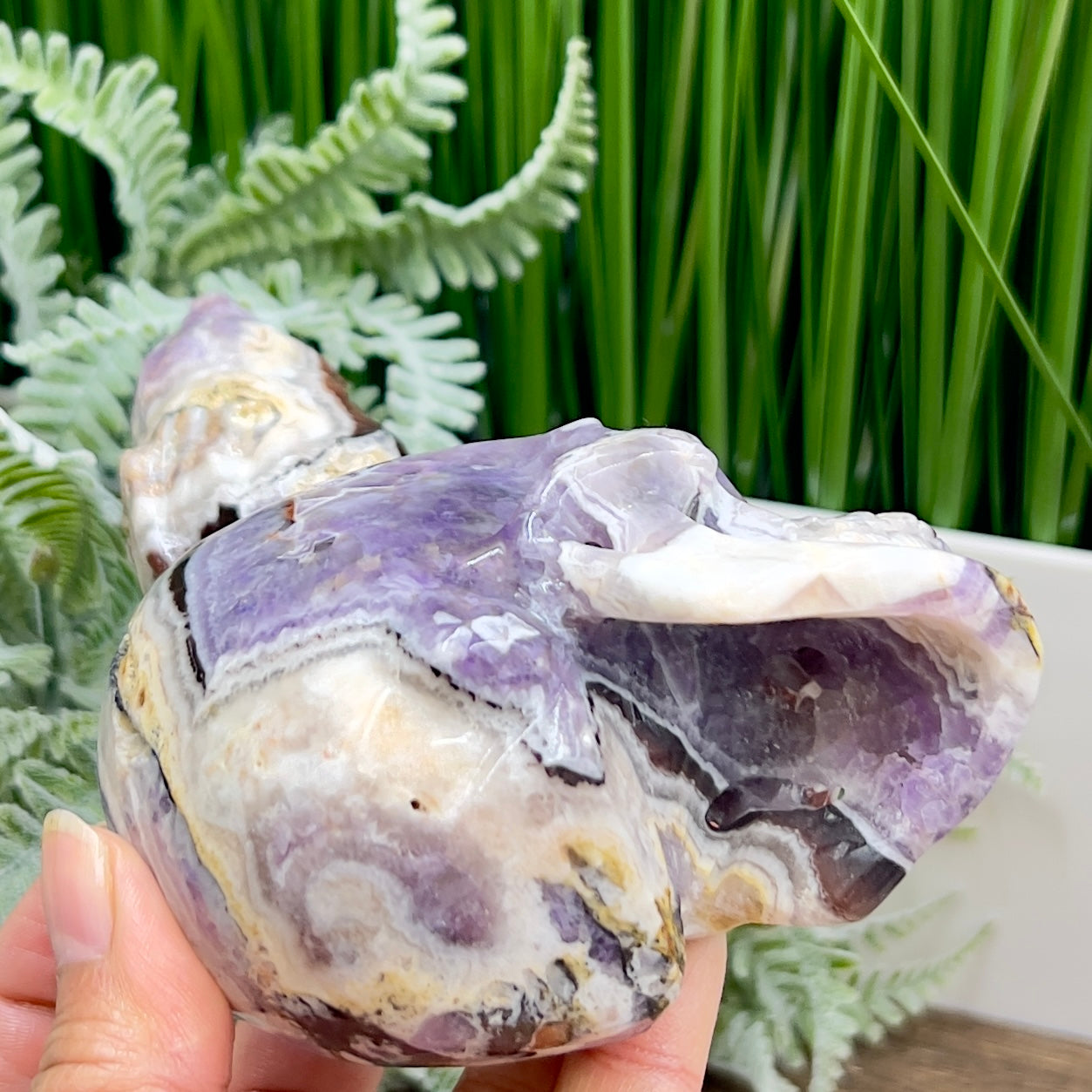 Chevron Dream Amethyst Owl on Skull Hollow Jaw  Crystal Carving 700g