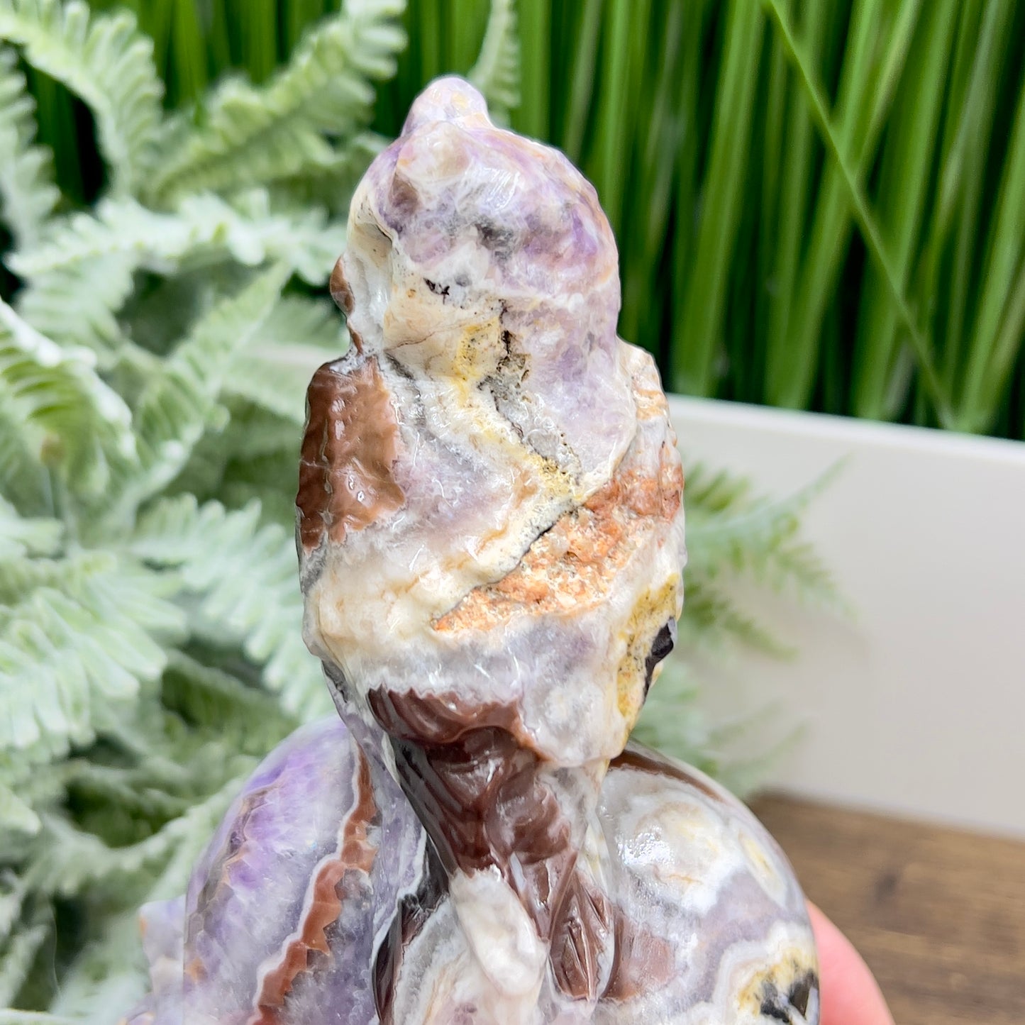 Chevron Dream Amethyst Owl on Skull Hollow Jaw  Crystal Carving 700g