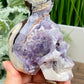 Chevron Dream Amethyst Owl on Skull Hollow Jaw  Crystal Carving 700g