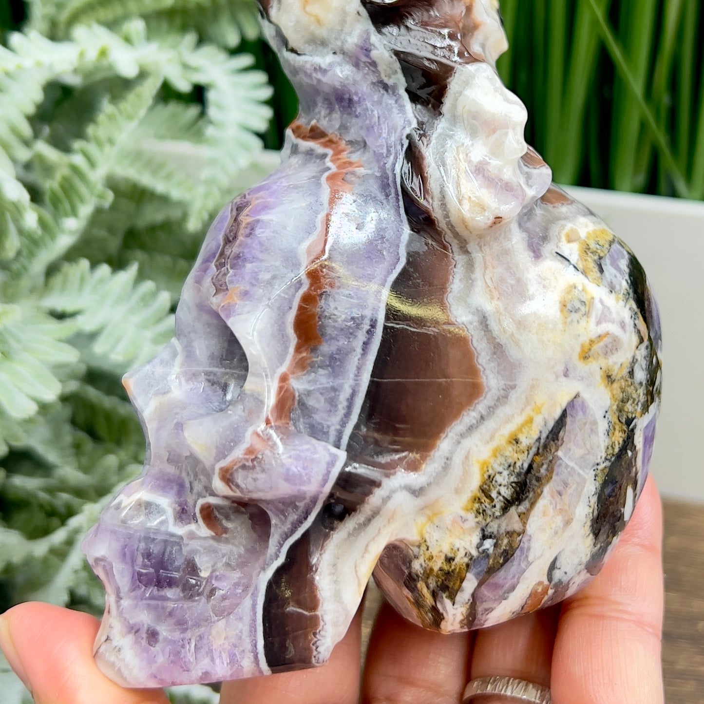 Chevron Dream Amethyst Owl on Skull Hollow Jaw  Crystal Carving 700g