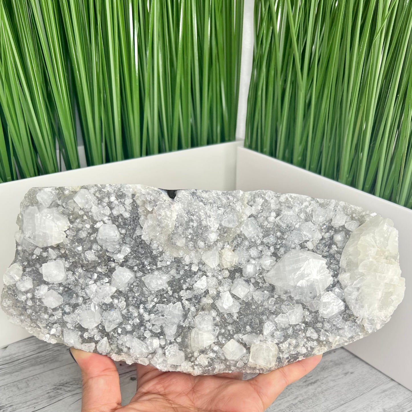 Apophyllite Cluster Natural Crystal Clear Large Specimen 1887g