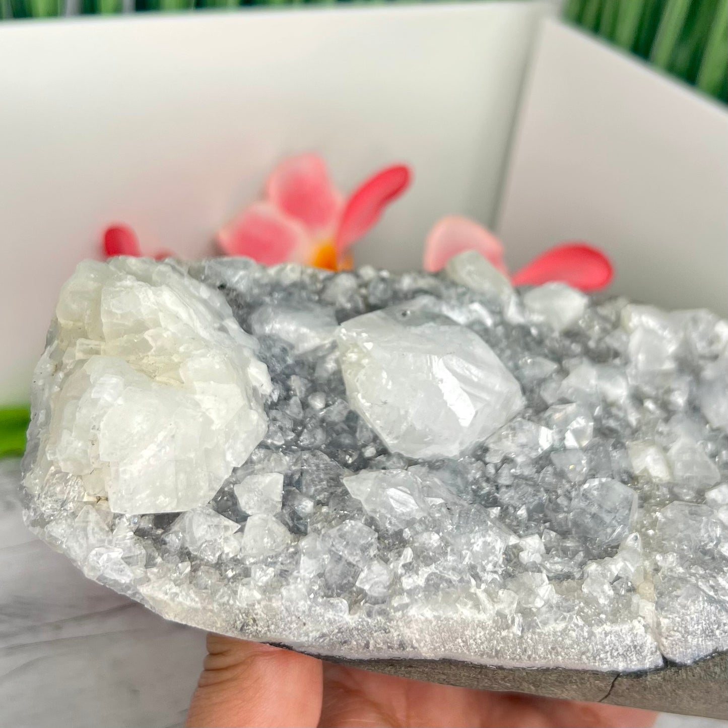 Apophyllite Cluster Natural Crystal Clear Large Specimen 1887g