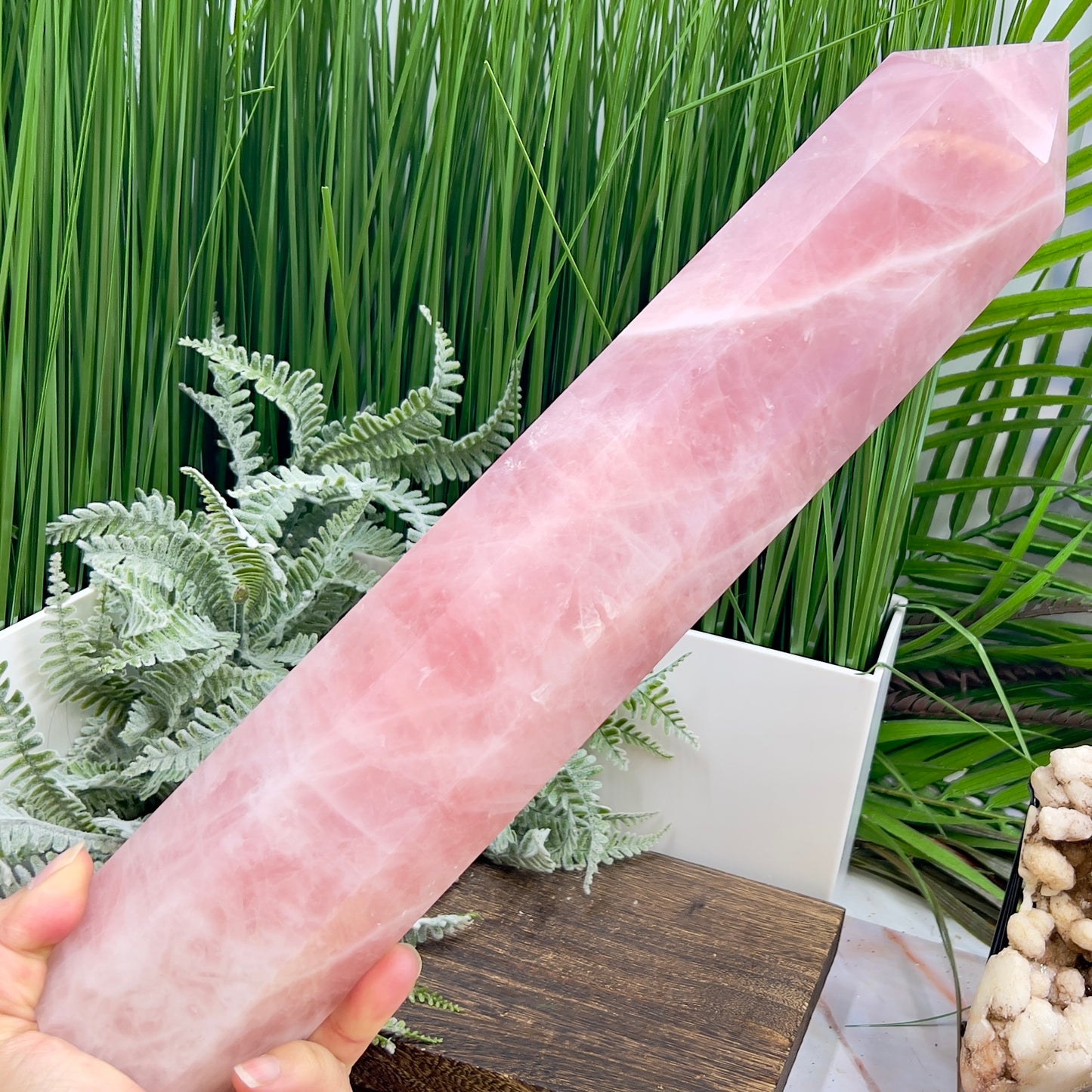 Rose Quartz Huge Tower Translucent Healing Crystal Generator 2562g 365mm