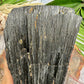 Huge Black Tourmaline Schorl Hay Stack Raw Specimen with Stand Crystal 5kg 11lbs