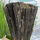 Huge Black Tourmaline Schorl Hay Stack Raw Specimen with Stand Crystal 5kg 11lbs