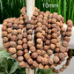 Rudraksha Beads 108 Mala Prayer Meditation Sacred Seeds DIY