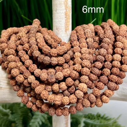 Rudraksha Beads 108 Mala Prayer Meditation Sacred Seeds DIY