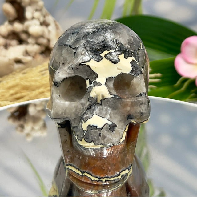 Mosaic Chalcedony Quartz Rare Skull Healing Crystal Carving 651g
