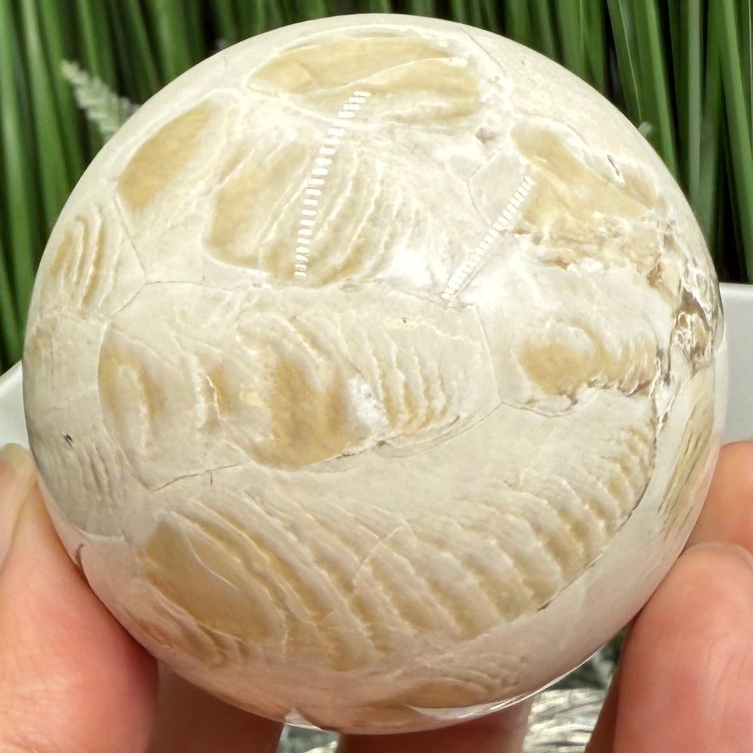 Volcanic Agate Quartz Sphere UV Reactive Crystal Ball 296g 61mm
