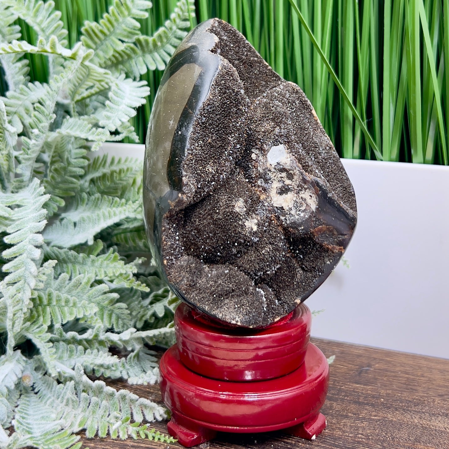 Dragon Septarian Jasper Egg with Stand Crystal Carving 934g