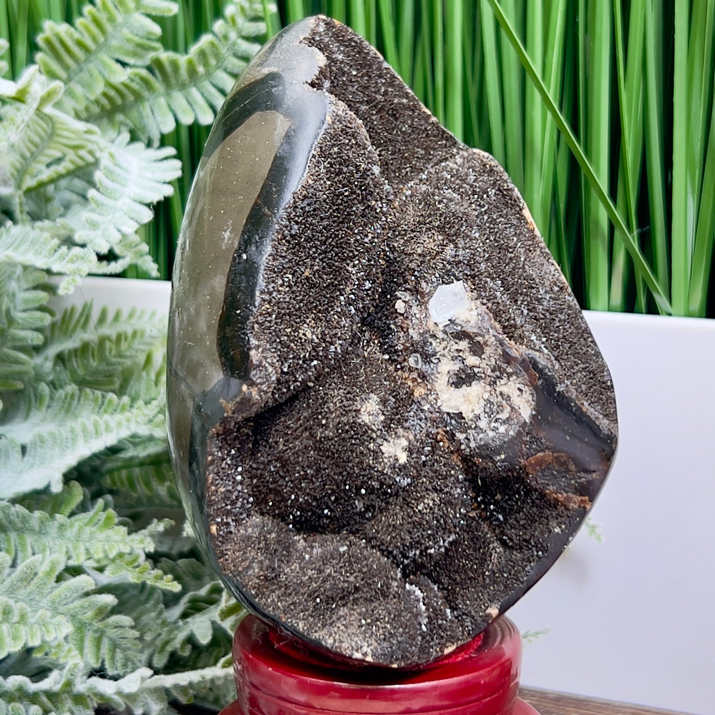 Dragon Septarian Jasper Egg with Stand Crystal Carving 934g