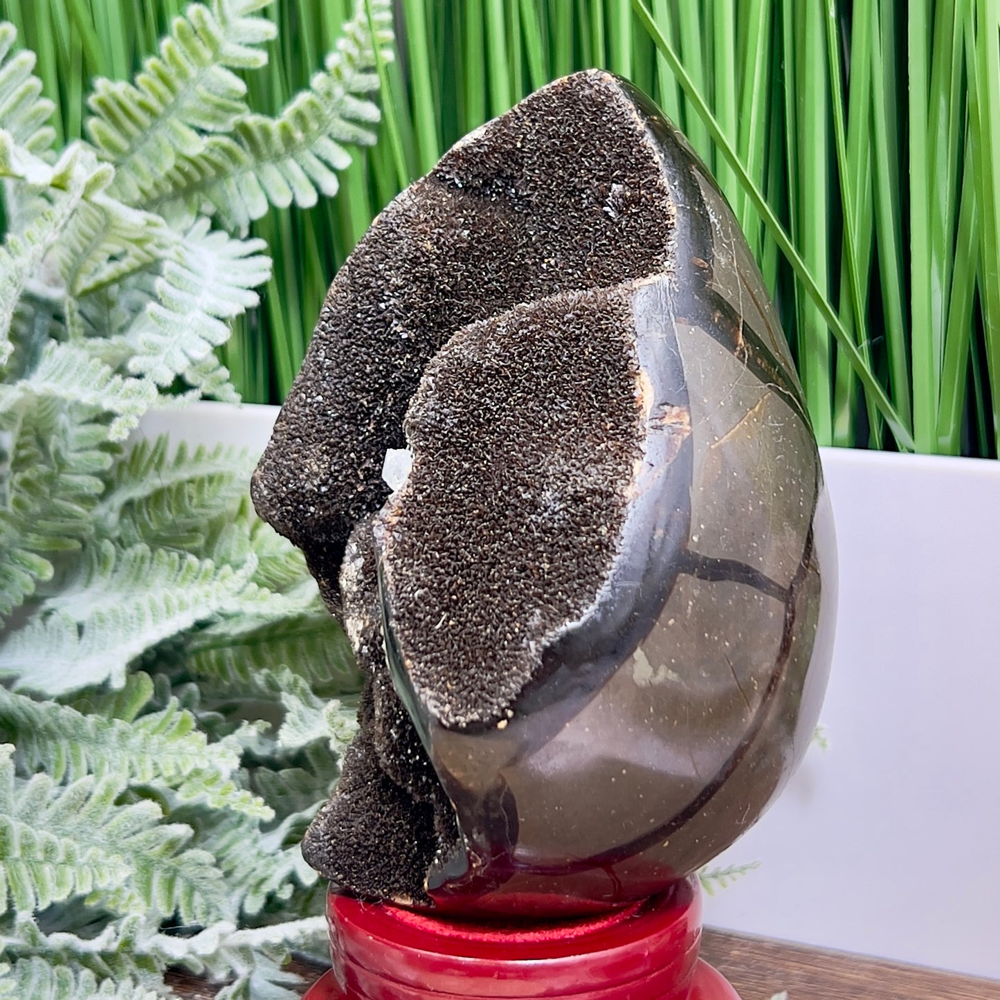 Dragon Septarian Jasper Egg with Stand Crystal Carving 934g
