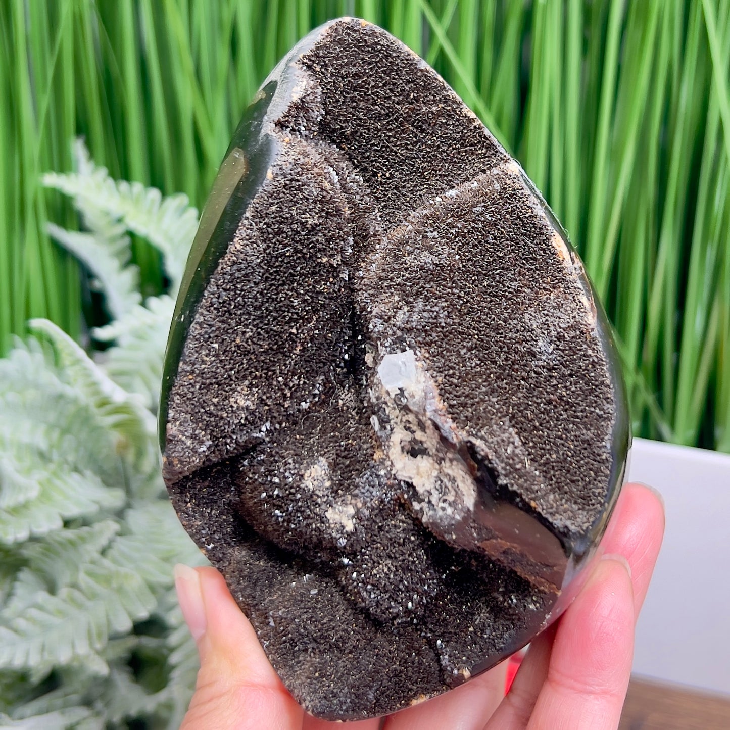 Dragon Septarian Jasper Egg with Stand Crystal Carving 934g