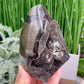 Dragon Septarian Jasper Egg with Stand Crystal Carving 934g