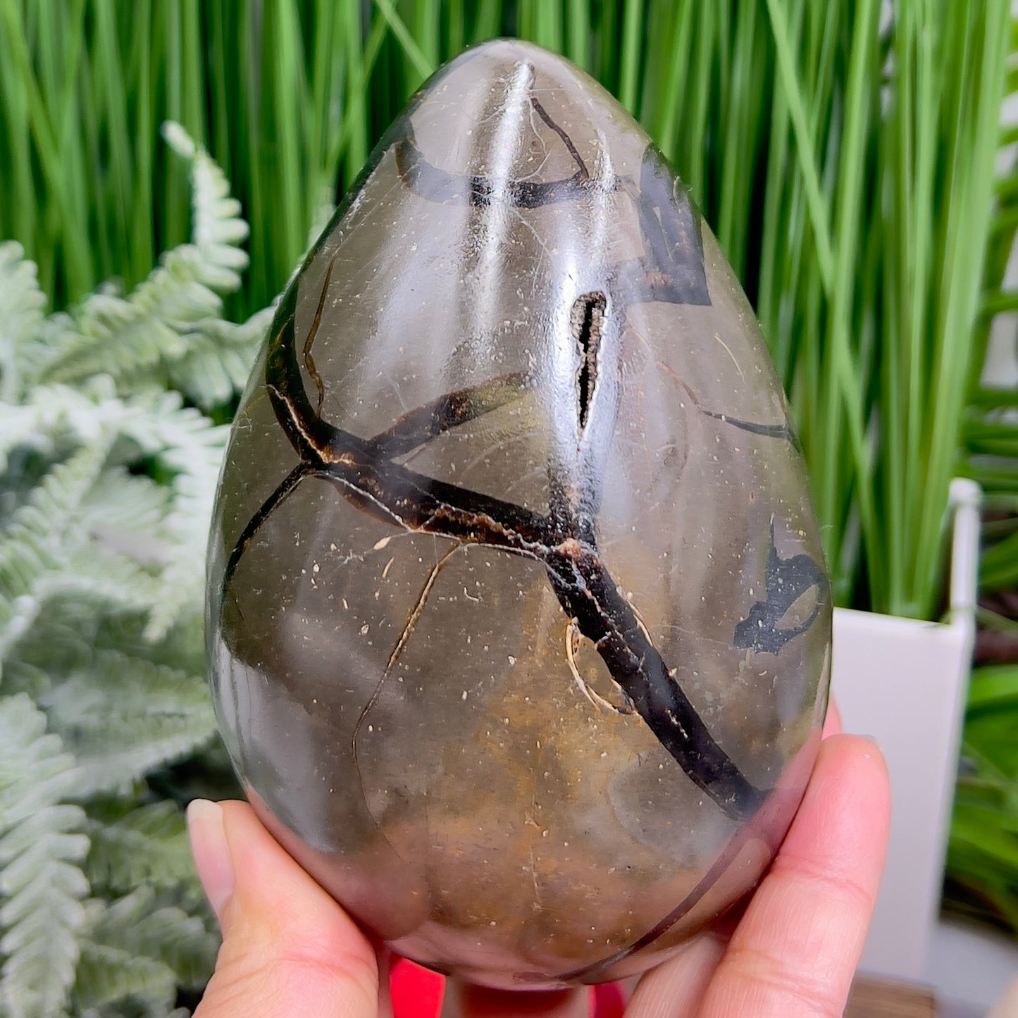 Dragon Septarian Jasper Egg with Stand Crystal Carving 934g