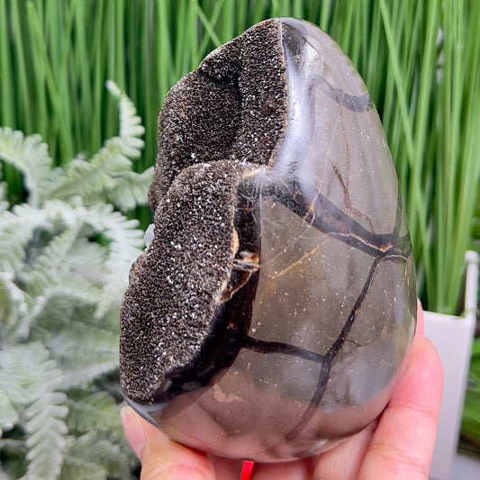 Dragon Septarian Jasper Egg with Stand Crystal Carving 934g