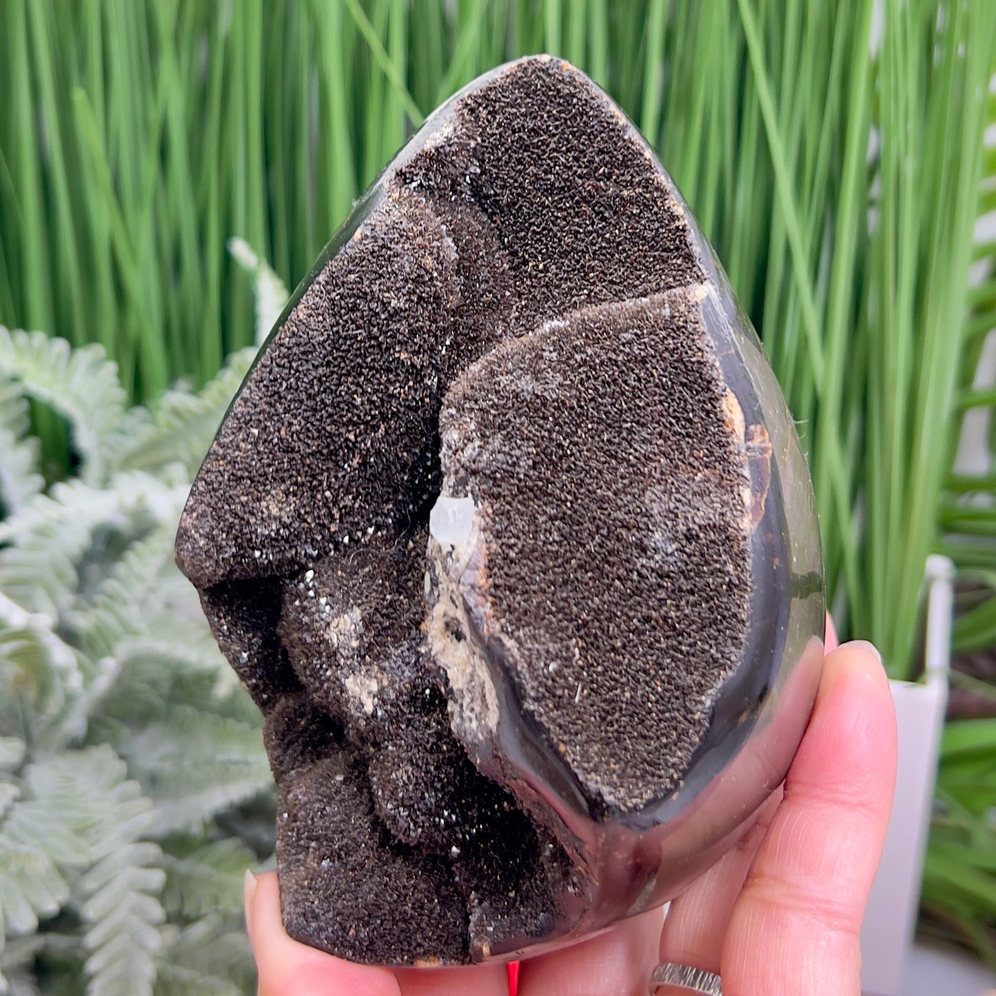 Dragon Septarian Jasper Egg with Stand Crystal Carving 934g