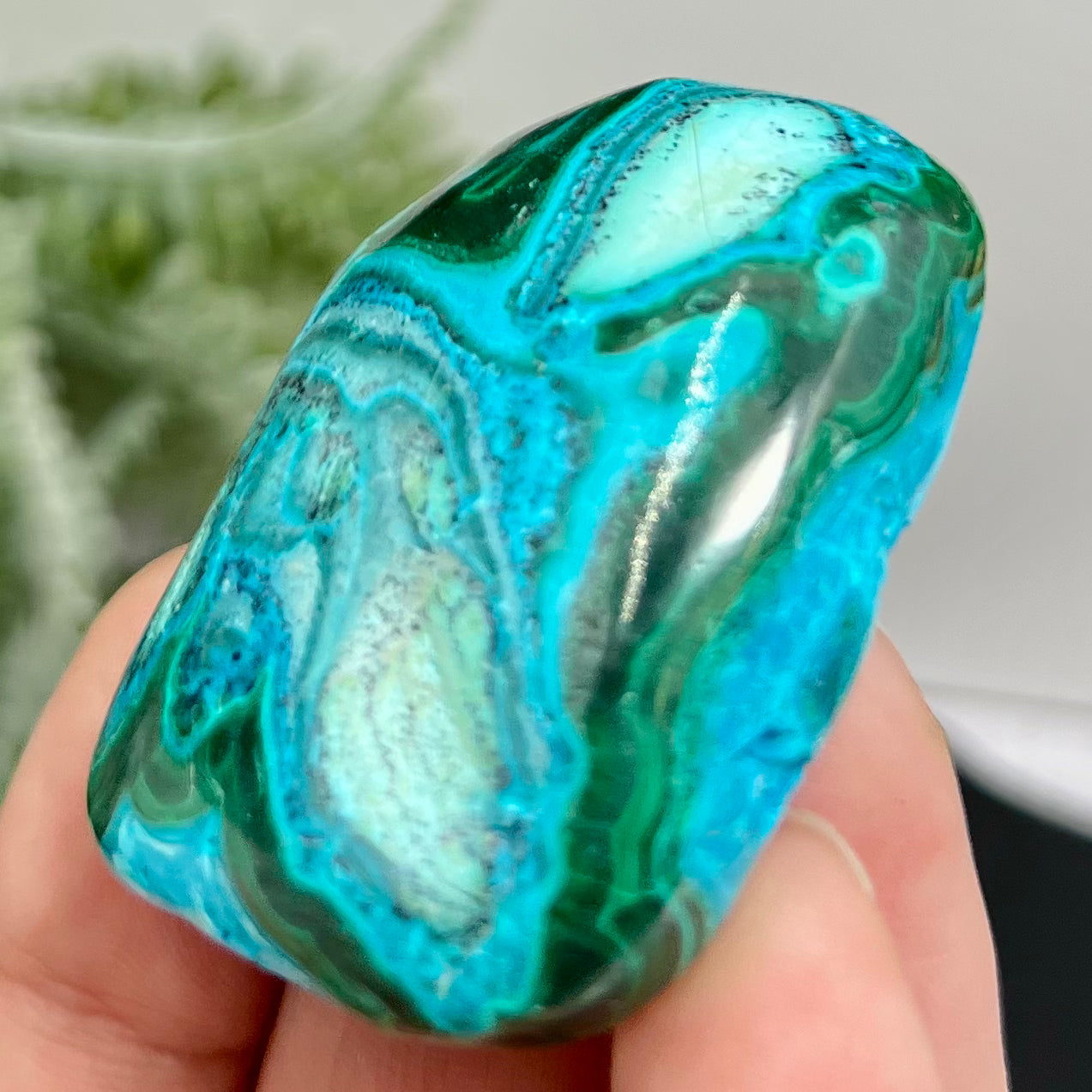 Chrysocolla Malachite Shattuckite Palm Stone Worry Meditation Crystal Peru 156g