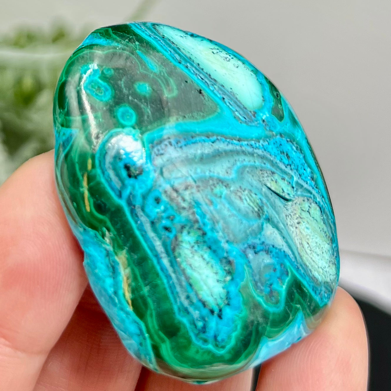 Chrysocolla Malachite Shattuckite Palm Stone Worry Meditation Crystal Peru 156g