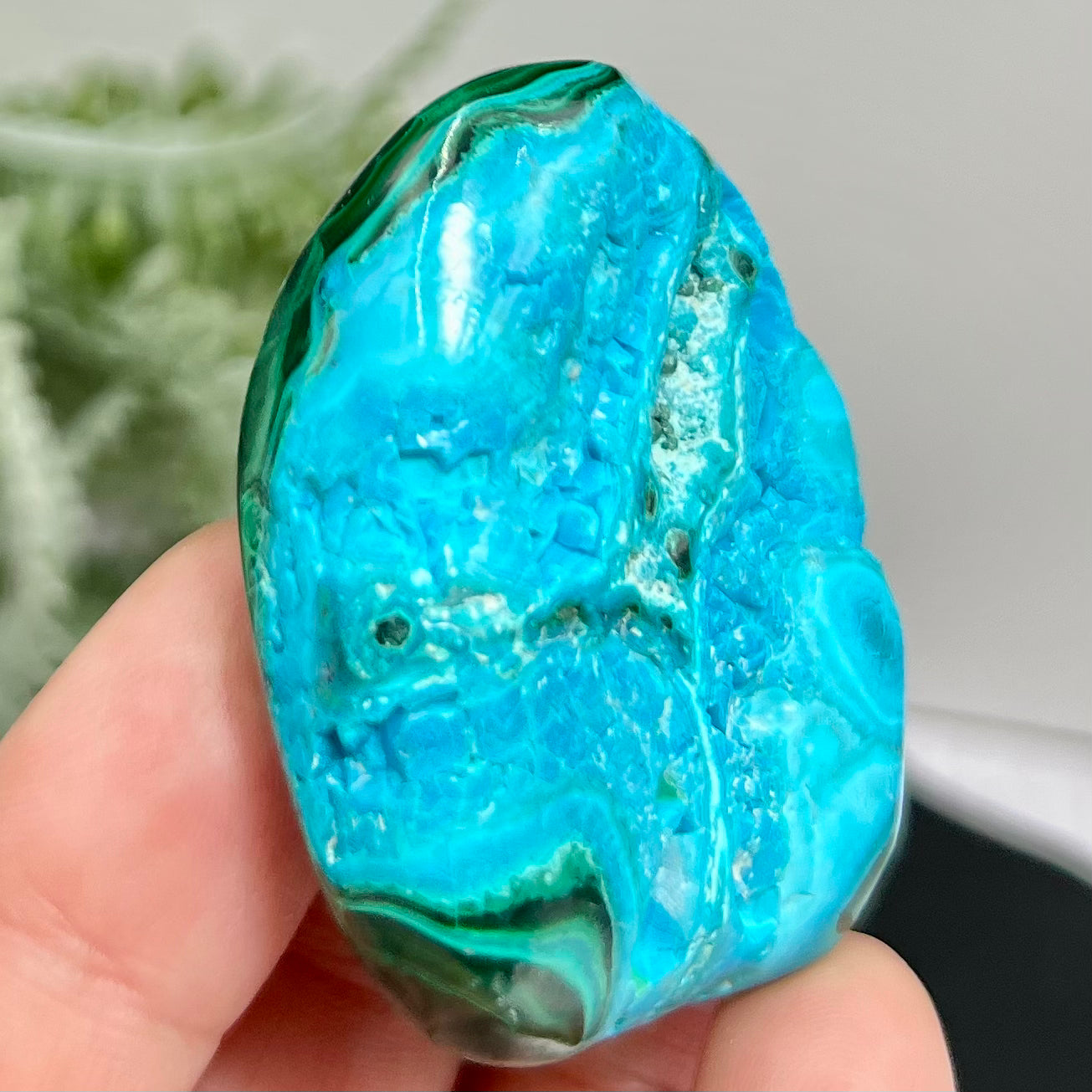 Chrysocolla Malachite Shattuckite Palm Stone Worry Meditation Crystal Peru 156g