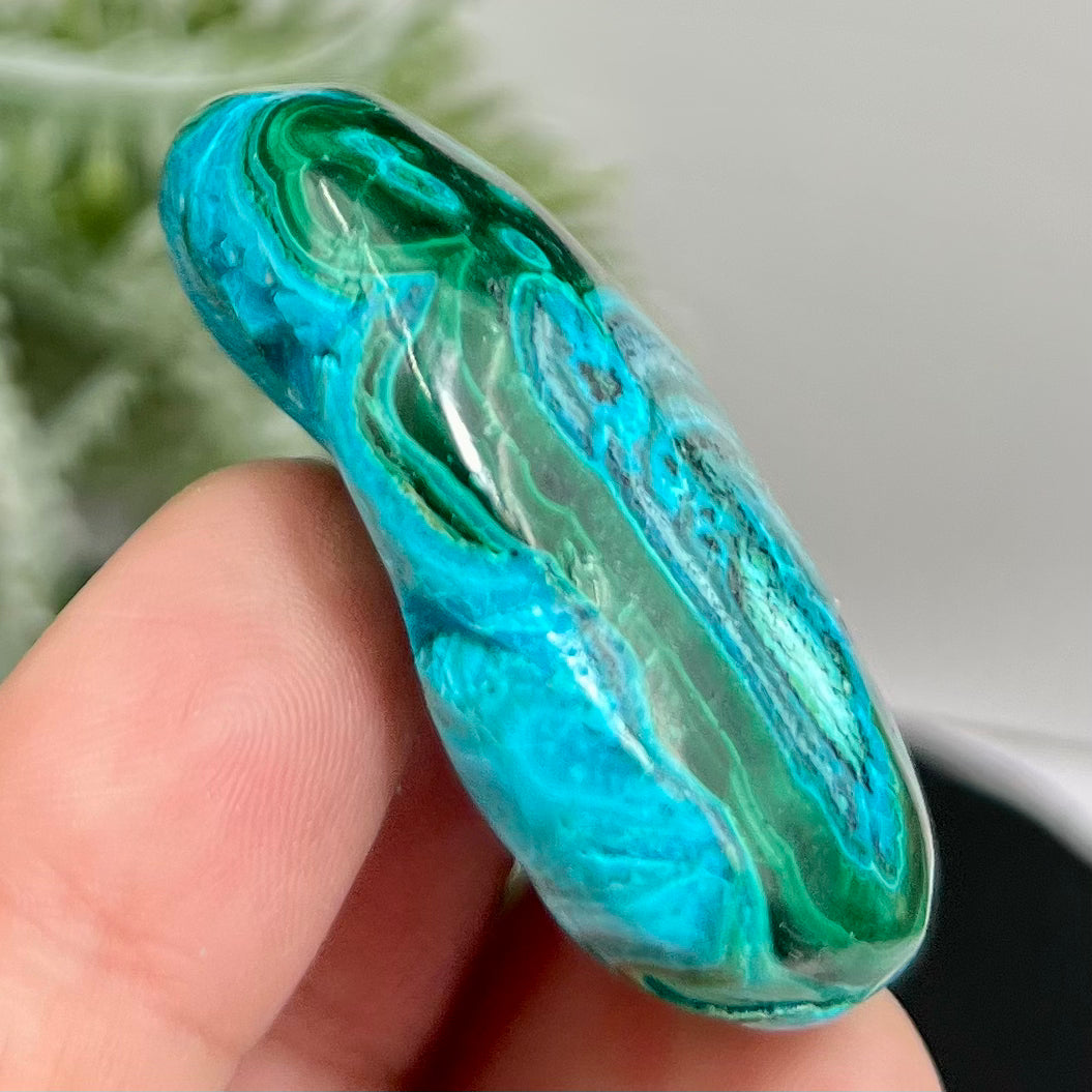 Chrysocolla Malachite Shattuckite Palm Stone Worry Meditation Crystal Peru 156g