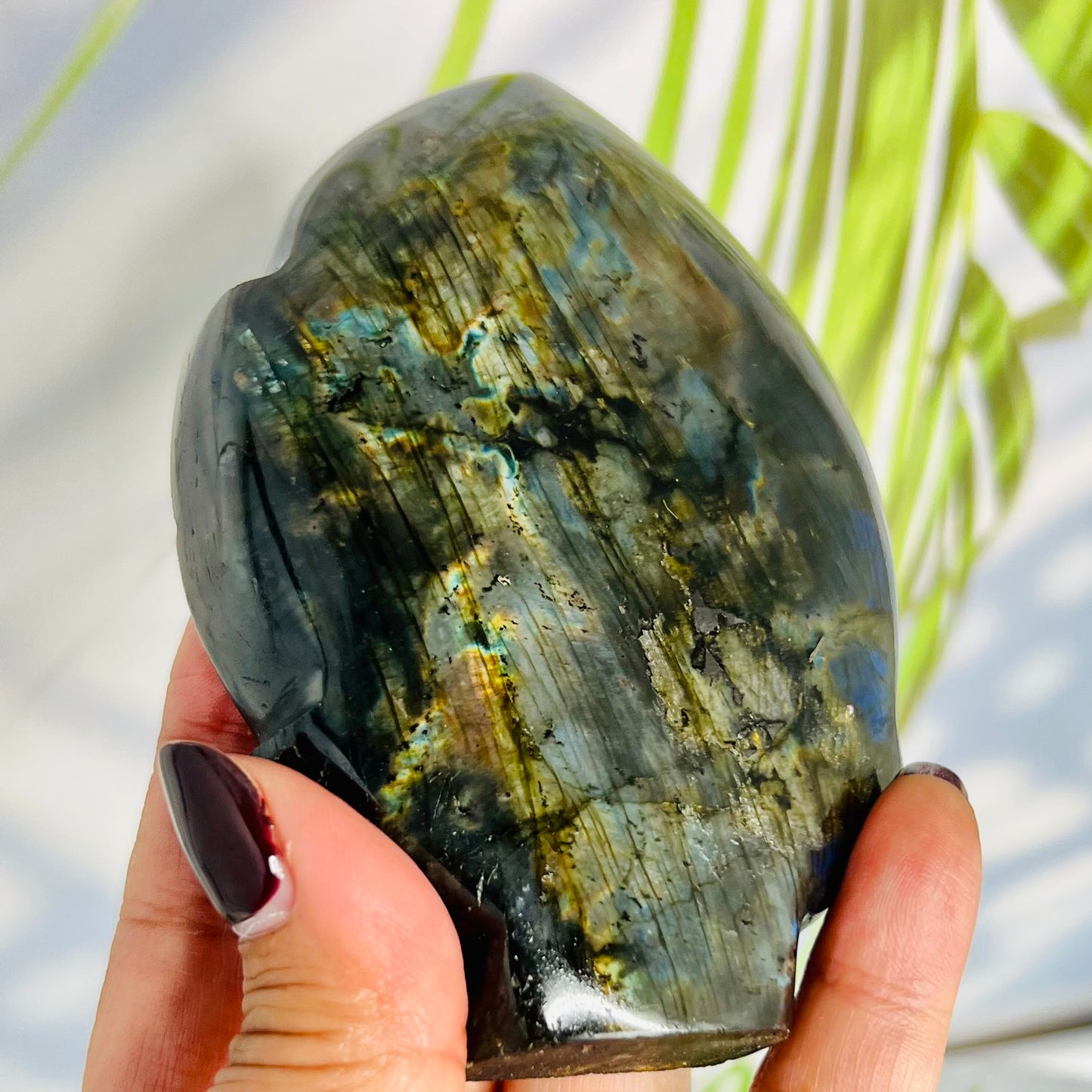 Fire Labradorite Leaf Flashy Crystal Carving 382g