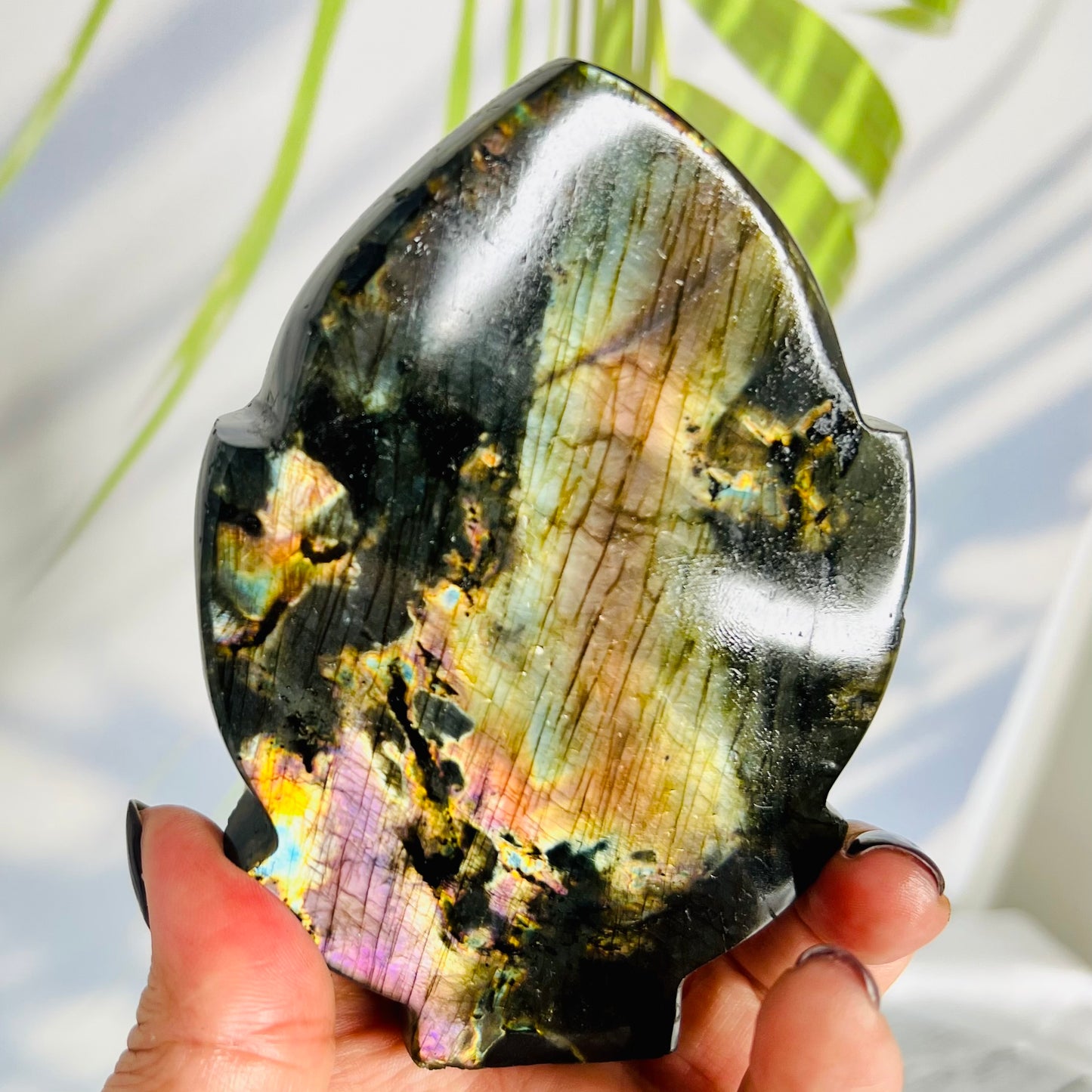 Fire Labradorite Leaf Flashy Crystal Carving 382g