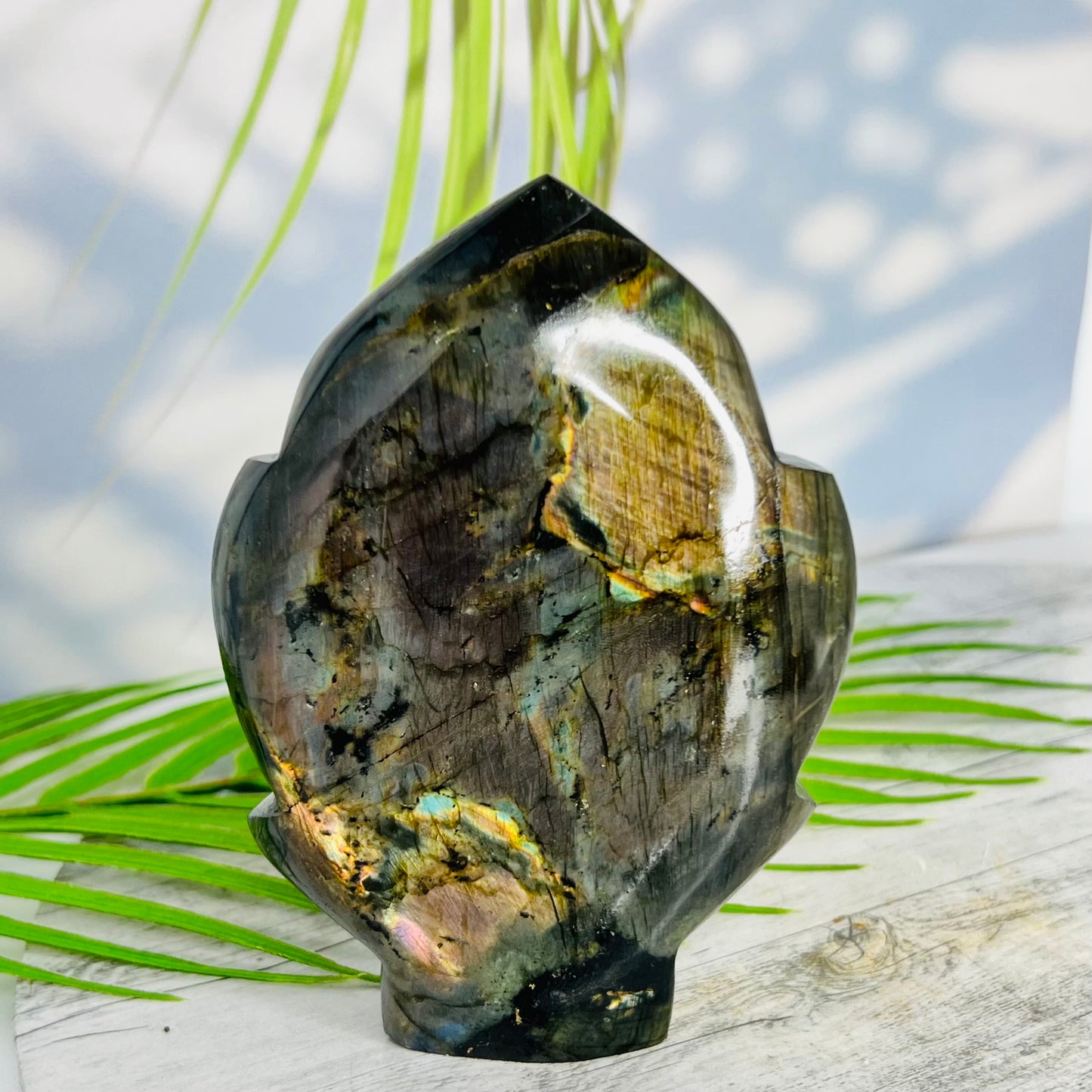 Fire Labradorite Leaf Flashy Crystal Carving 575g
