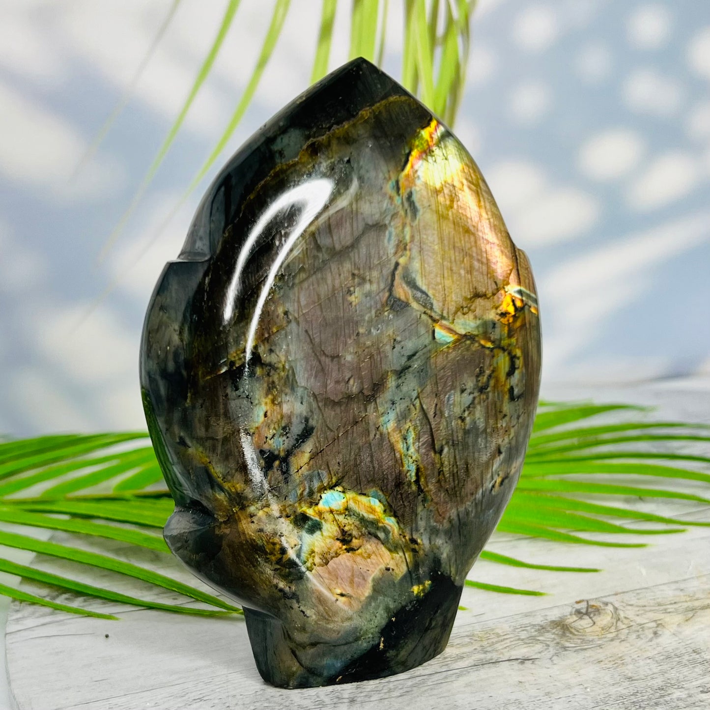 Fire Labradorite Leaf Flashy Crystal Carving 575g