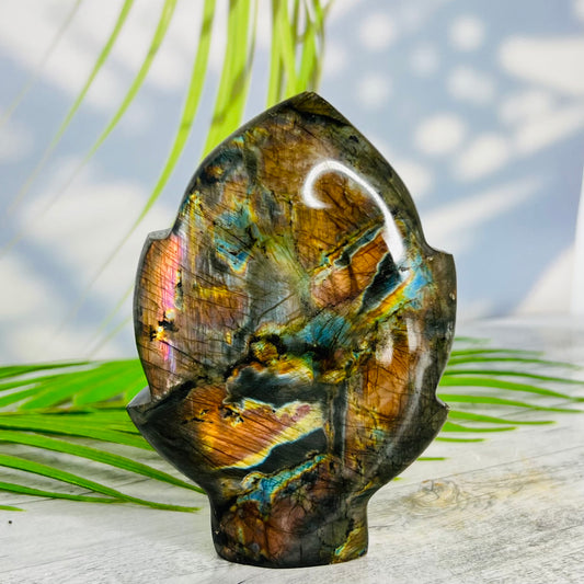 Fire Labradorite Leaf Flashy Crystal Carving 347g