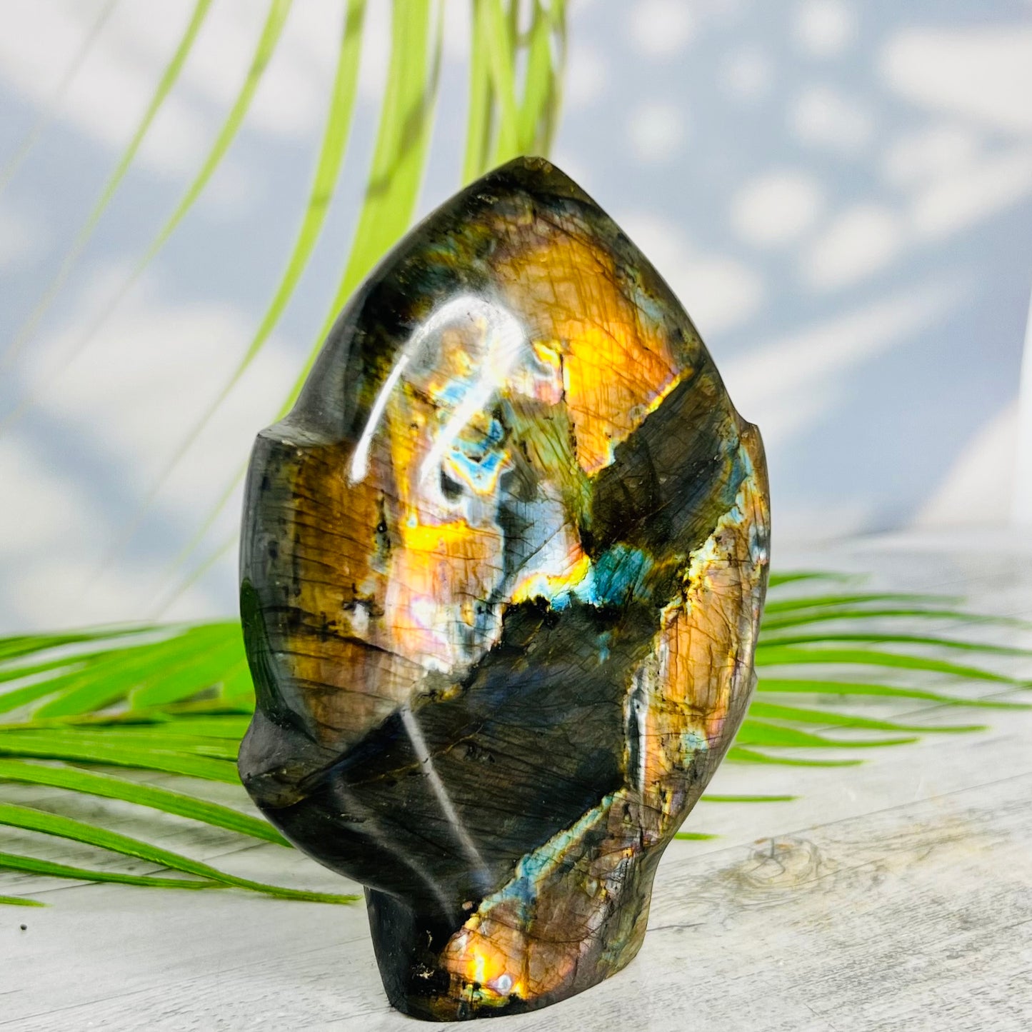 Fire Labradorite Leaf Flashy Crystal Carving 347g