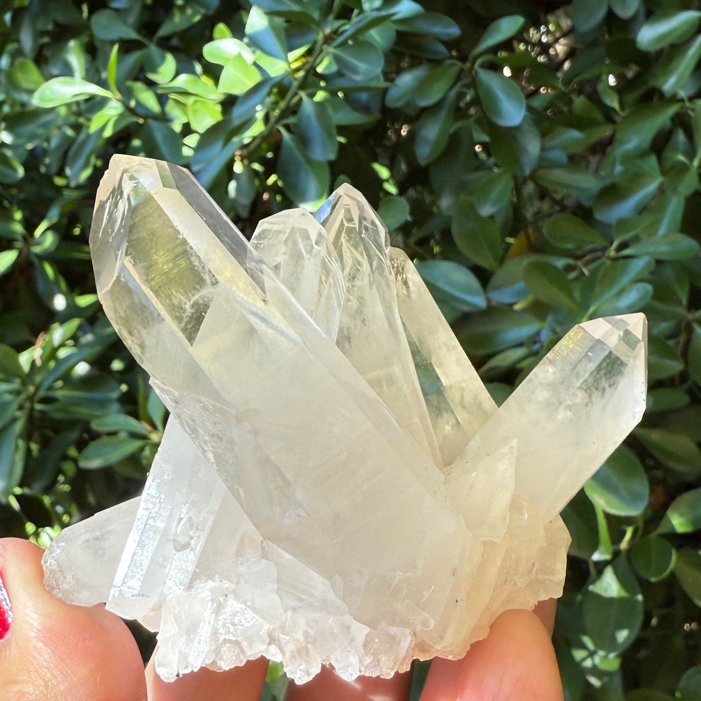 Clear Quartz Cluster Natural Raw Specimen Crystal 218g