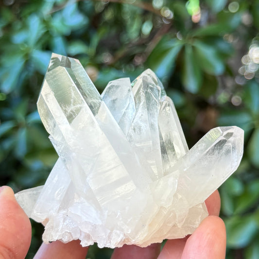 Clear Quartz Cluster Natural Raw Specimen Crystal 218g