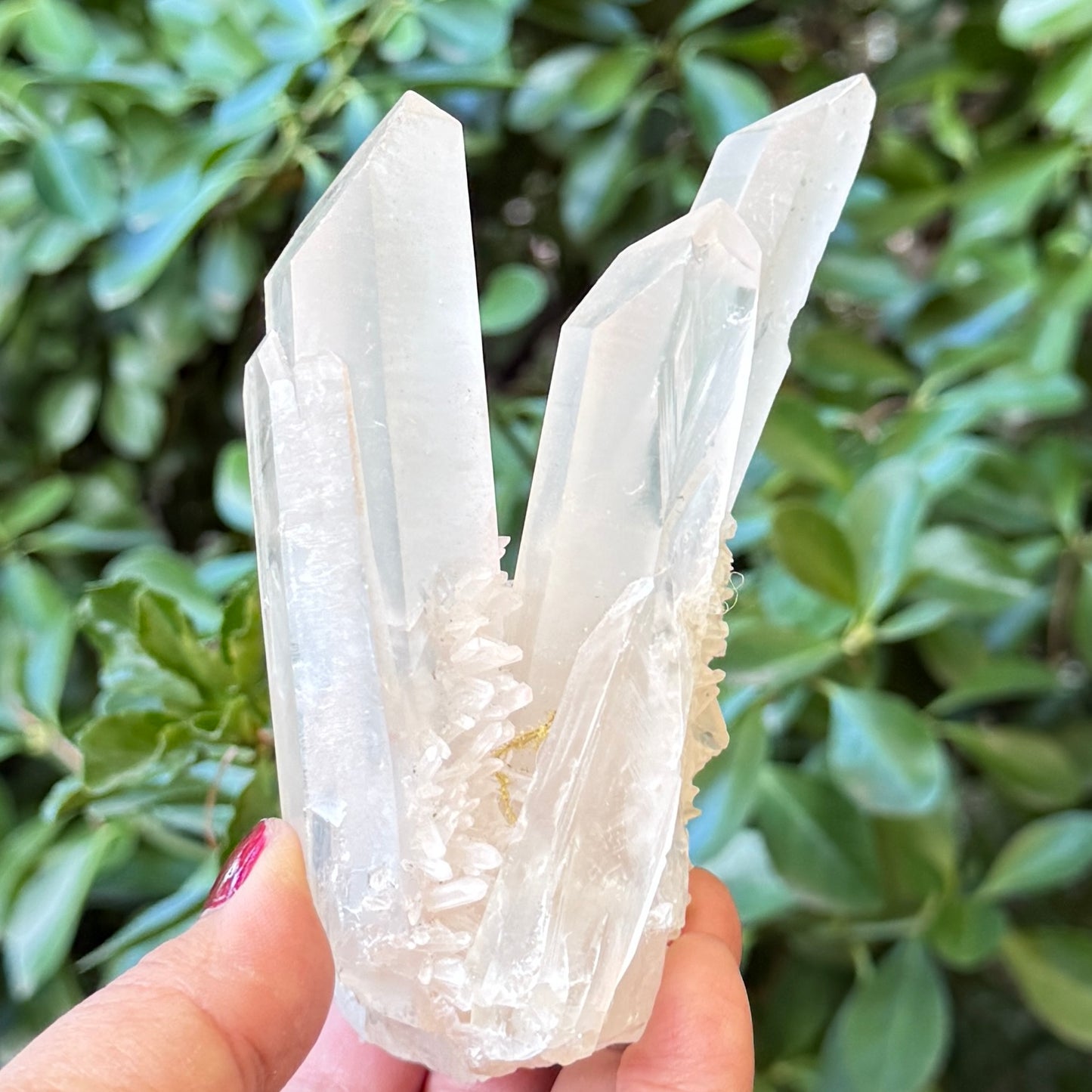 Clear Quartz Cluster Natural Raw Specimen Crystal 338g