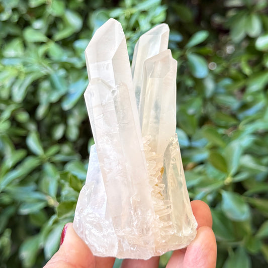 Clear Quartz Cluster Natural Raw Specimen Crystal 338g