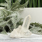 Clear Quartz Cluster Natural Raw Specimen Crystal 112g
