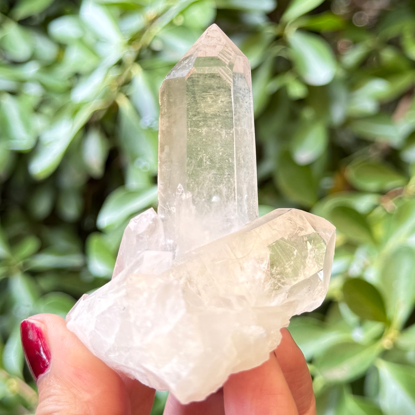 Clear Quartz Cluster Natural Raw Specimen Crystal 112g