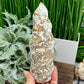 Bubble Ocean Sea Orbicular Jasper Flame Crystal Carvings 690g 175mm