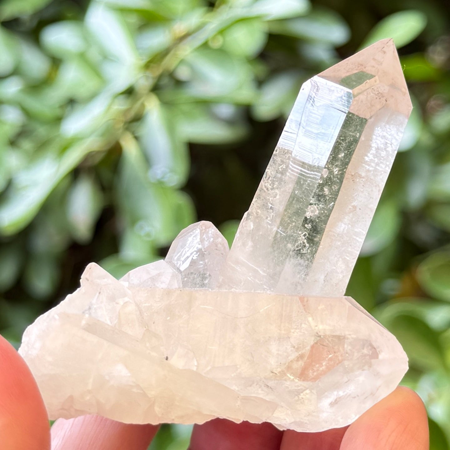 Clear Quartz Cluster Natural Raw Specimen Crystal 112g
